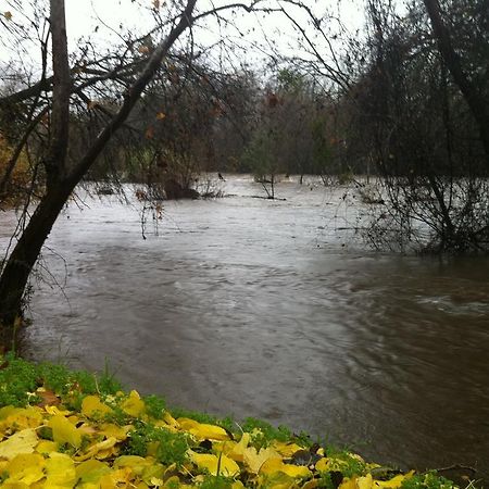 ת'רי ריברס Sequoia Riverfront Cabins מראה חיצוני תמונה