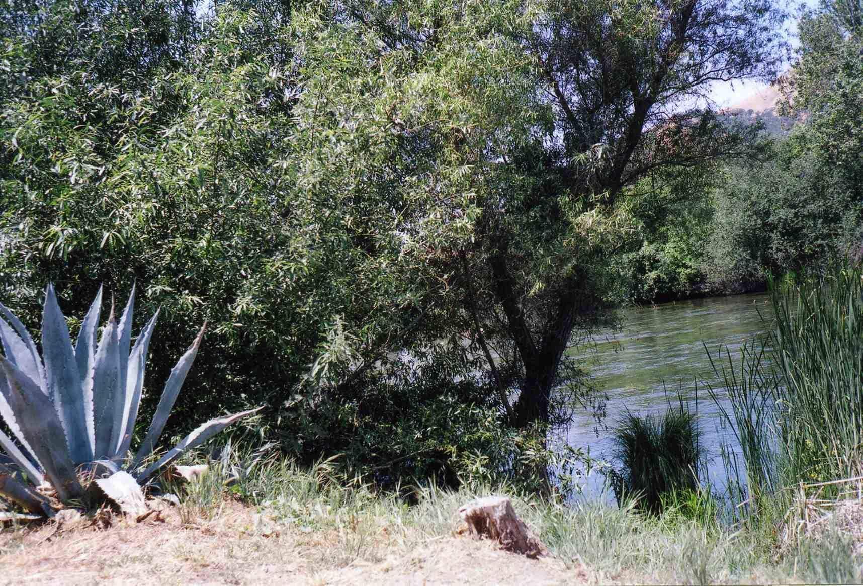 ת'רי ריברס Sequoia Riverfront Cabins מראה חיצוני תמונה